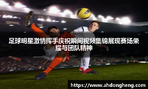 bsports官网入口